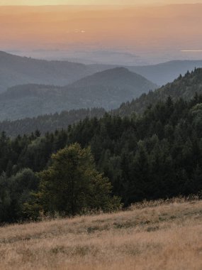 Koyu yeşil kozalaklı ormanların ve şafak vakti yumuşak, puslu bir sabah gökyüzünün altında yuvarlanan dağ sırtlarının olduğu geniş açılı bir manzara..
