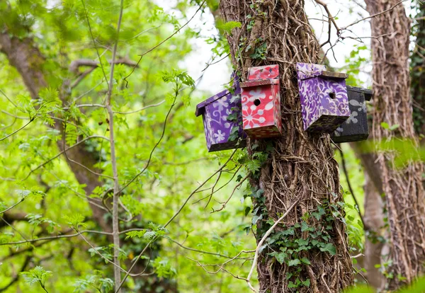 Ağaç desenli kuş evleri