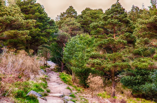 Slieve donard szene in den trauernbergen — Stockfoto