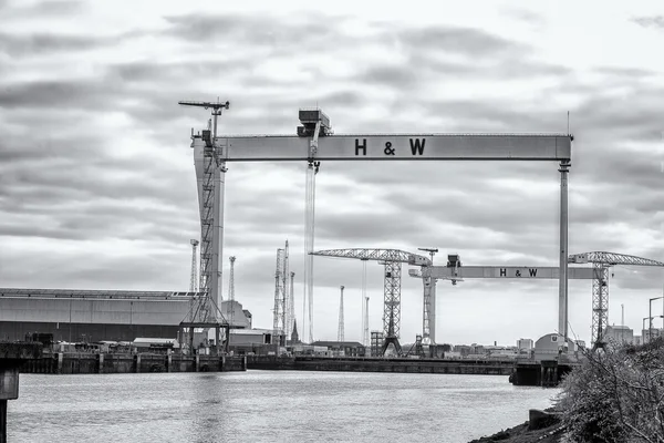 Harland and Wolff hajógyár daruk — Stock Fotó