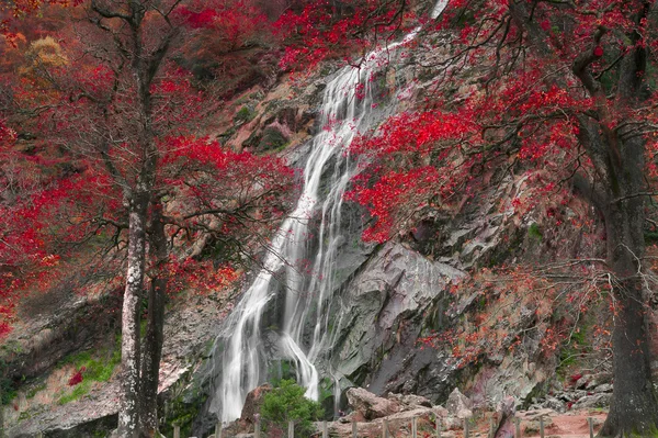 Cachoeira Powerscourt, Enniskerry — Fotografia de Stock