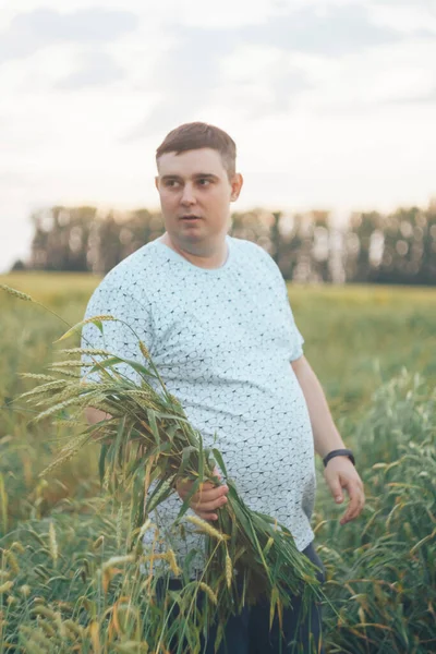 A young man in a field with green wheat