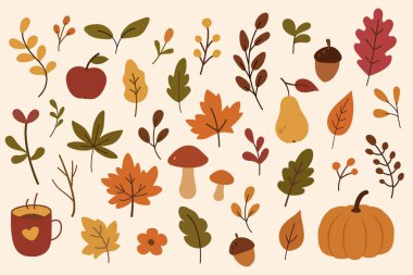 Mantar yapraklı sonbahar düz koleksiyonu mevsimsel tasarım için açık arkaplanda ılık sonbahar renklerinde meyveler ve samimi öğeler