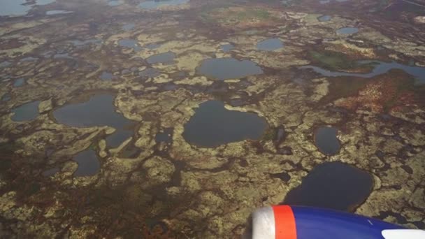 从带有湖泊的冻土带上的飞机上观看.Khaki大地。绿色的沼泽地和苔藓。飞机在右边，涡轮机在前面 — 图库视频影像