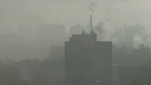 Casa alta en la niebla. Edificios de varios pisos en la niebla. Ciudad. Tubo. Vapor y humo. Los pájaros vuelan. Buenos días.. — Vídeos de Stock