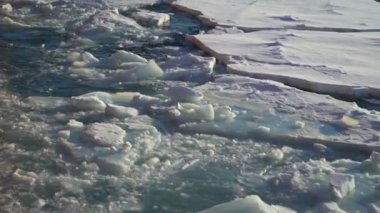 Sudaki buz kütleleri yüzer. Kalın mavi buz kütleleri suda yüzer. Buz parçaları üzerinde kar. Mavi buz. Geminin yan tarafına bak. Kuzey Kutbu. Bir martı uçar gider