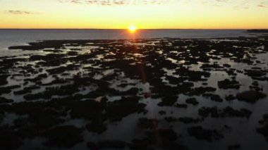 Kıyı boyunca sazlık çalıları. Sazlık adaları. Helikopterden görüntü. Gün batımı. Güneş ışını. En büyük göl. Suyun üzerinde sazlıkların karanlık adaları. Ufuktaki güneş.