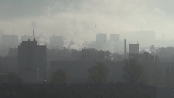 Ciudad en la niebla. Casas y árboles en la niebla. Vapor y humo se levantan. Hay muchos pájaros volando. Siluetas de casas en la niebla. Zona industrial. Tubos. — Vídeos de Stock