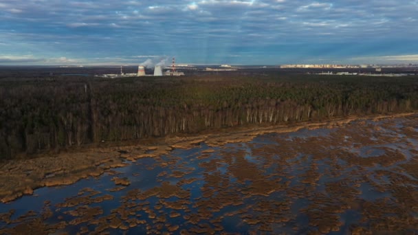 Tubos da central eléctrica atrás da floresta. Vista aérea. Fumaça de torres de resfriamento. Palhetas amarelas na água ao longo da costa. Raios do sol no céu azul. — Vídeo de Stock