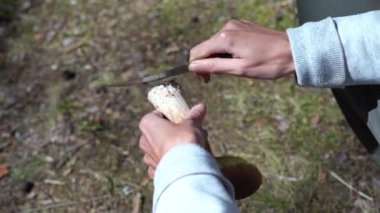 Bıçak mantarı temizler. Bıçaklı eller mantarın bacağını kesmiş. Büyük beyaz mantar, boletus. Kahverengi şapka. Kapatın. Yer mantardan temizlendi.