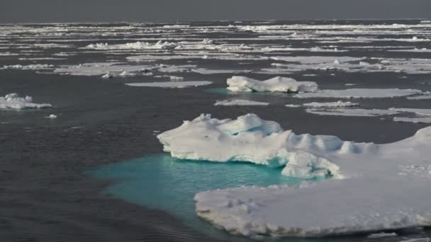 Des morceaux de glace bleue flottent dans l'eau. Des morceaux de glace sous la neige se balancent sur les vagues. La glace fond. Au nord. Arctique. La glace est éclairée par le soleil — Video