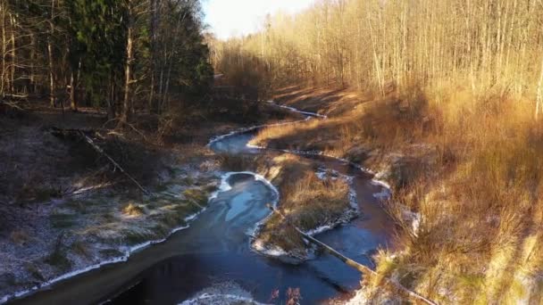Buig van de rivier in het bos. Gele gras rondom. De zon schijnt op de rivieroever. Restanten van ijs en sneeuw langs de rivier. — Stockvideo