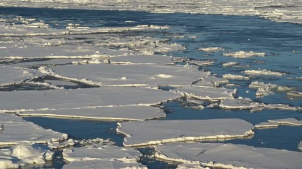 El Ártico. Las gaviotas vuelan sobre el hielo. Un rastro de la nave. Trozos de hielo flotan. El hielo se está derritiendo. Hermosa luz — Vídeo de stock