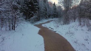 Kışın ormandaki nehir. Buzun içinde kahverengi bir nehir. Her yer karla kaplı. Nehir boyunca.