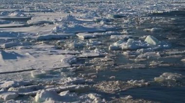 The ice drifts into the sea. Birds fly. The Arctic. Spring. The ice is melting. Gulls catch fish.