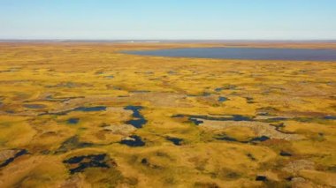 Tundra in autumn. Aerial view. Yellow. Small streams, small lakes. A large lake in the background. Orange