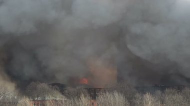 Flames behind the building. Smoke over a burnt-out building. Fire. Trees in the foreground.