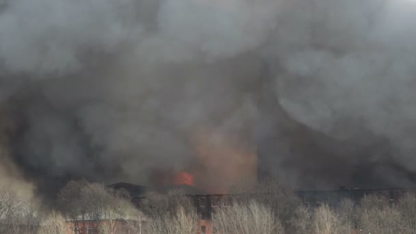 Flames behind the building. Smoke over a burnt-out building. Fire. Trees in the foreground. — Stockvideo