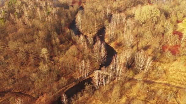 Flying over autumn park. Trees without leaves, river, bridges. Aerial view. Late in fall. Beautiful bend of iver. Forest. Park. Shadows from trees on yellow ground. — Stock Video