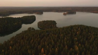 Göl, orman. Çamlar, Ateşler. Suyun yüzeyi. Hava görüntüsü. Karelia, İskandinavya. Güzel göl. Sis