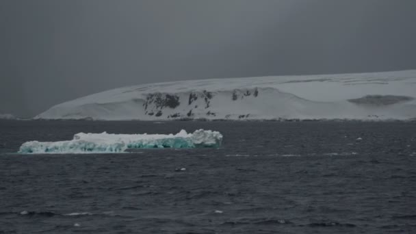 O gelo azul flutua. No fundo de rochas cobertas de neve. Clima do Norte nublado. Enfadonho. Água escura — Vídeo de Stock