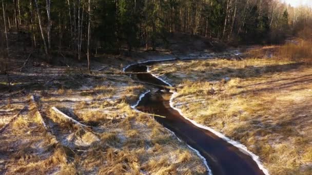 İlkbaharda ormandaki nehir. Dar bir nehrin güzel bir kıvrımı. Nehrin üzerinde bir helikopterde. Her yerde sarı çimenler var. Nehir boyunca buz ve kar kalıntıları. — Stok video