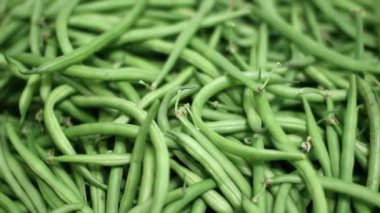 Çevre dostu yeşil çalı fasulyelerinin sonbahar hareketi.