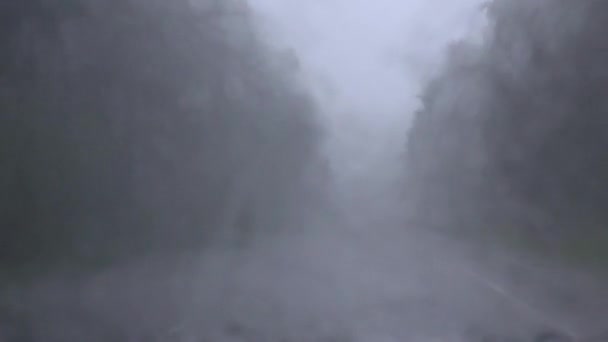 Der Blick aus der Frontscheibe des Autos bei starkem Regen. — Stockvideo