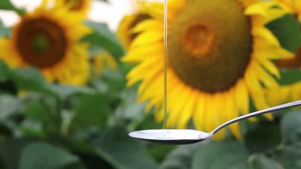 Pohyb nalití slunečnicového oleje tekutiny do lžíce — Stock video