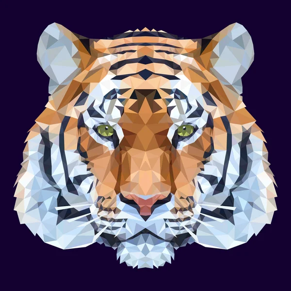 Ilustración de tigre de poli bajo . — Vector de stock