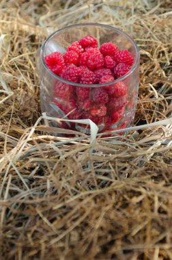 Ahududu rustik saman bir arka plan üzerine bir bardak kupa.