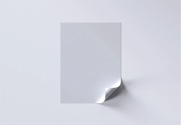 Rektangel Sticker Mockup Med Curled Corner Render – stockfoto