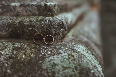 twee trouwringen op een steen