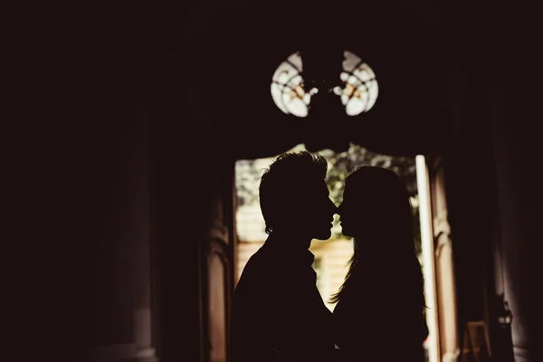 Silhouette of happy kissing newlyweds — Stock Photo, Image