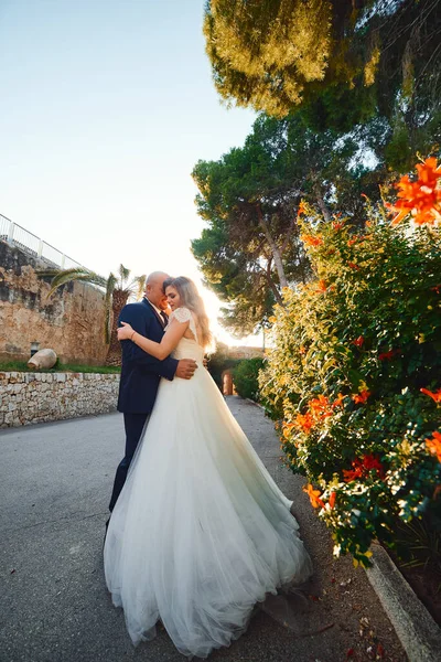 石壁やヤシの木を背景に城への入り口で 新婚旅行の抱擁と笑顔 — ストック写真