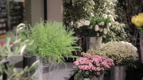 Woman puts vase of flowers on the shelves - florist prepares for the opening store — Stock Video