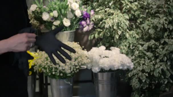 Mulher florista coloca luvas pretas para trabalhar com flores — Vídeo de Stock