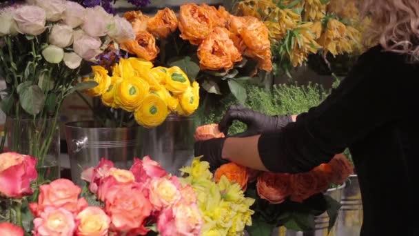 Mujer pone jarrón de flores en los estantes floristería se prepara para la tienda de apertura — Vídeos de Stock