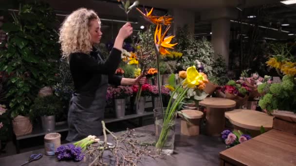 Bir buket çiçek dükkanında yapma güzel kadın çiçekçi — Stok video