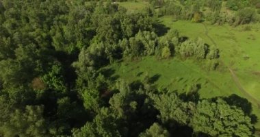 Bahar doğa - ada ve yakınındaki Ukrayna Kiev'de Dinyeper Nehri'nin kolları