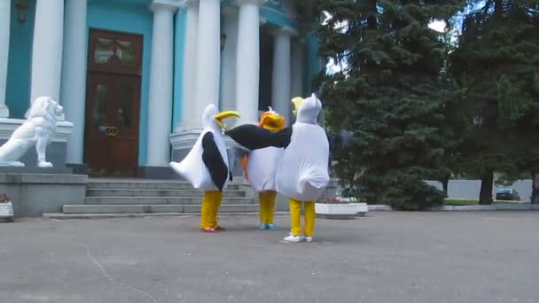 Juste mariés mouettes sur le porche de la maison de mariage — Video