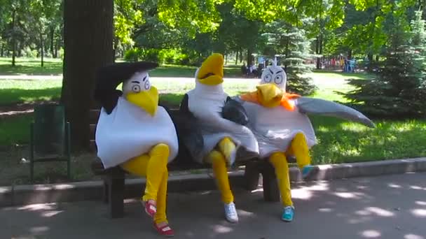 Equipe de animação em trajes de gaivotas dançando no banco no parque — Vídeo de Stock