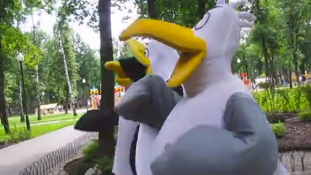 Animation team at seagulls costumes walking on city park — Stock Video