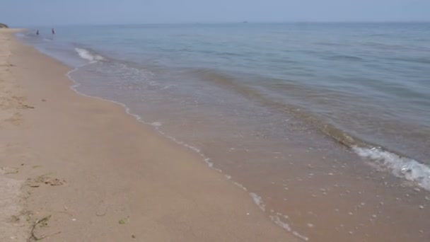 Crash doux des vagues sur la plage au bord de la mer — Video