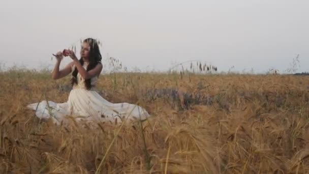 Mädchen Brünette im weißen Kleid auf einem Weizenfeld — Stockvideo