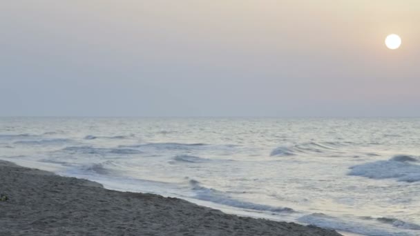 Утренняя пробежка девушка и парень вдоль линии серфинга морского пляжа летом — стоковое видео