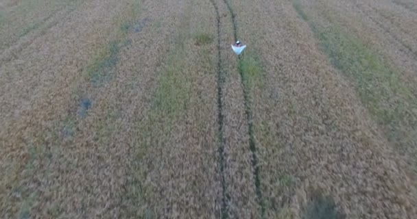 Брюнетка в белом платье и шляпа на поле из пшеницы — стоковое видео