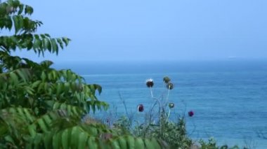 Yaz aylarında doğa deniz manzara