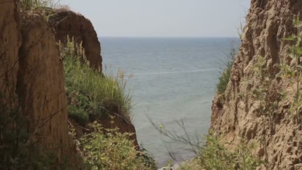 Paisagem da natureza à beira-mar no verão — Vídeo de Stock