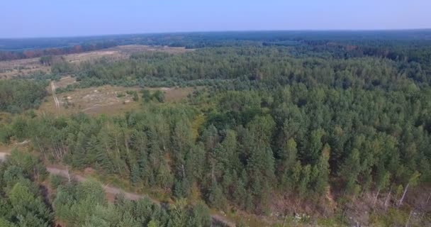 Inundada cantera de piedra en los bosques de Europa del Este — Vídeos de Stock